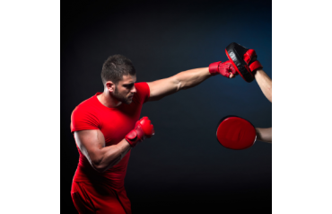 What are the best boxing gloves for beginners