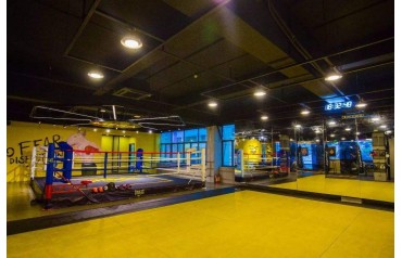 How to start a Boxing club